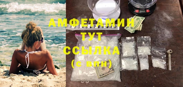 дживик Бронницы
