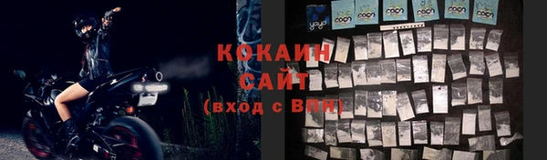 дживик Бронницы