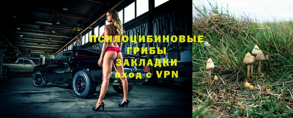 дживик Бронницы