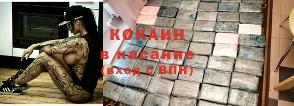 дживик Бронницы