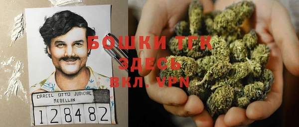 дживик Бронницы