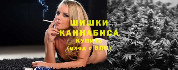 дживик Бронницы