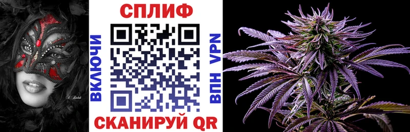 Конопля план Орехово-Зуево